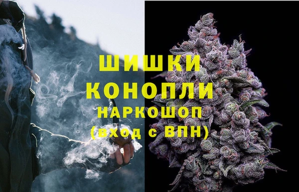дурь Аркадак