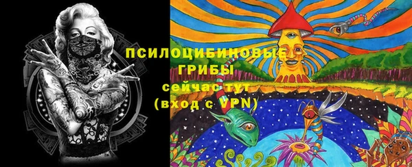 стаф Алексин