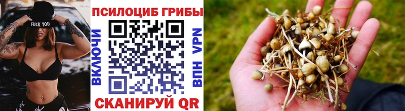 Псилоцибиновые грибы прущие грибы  Саки 